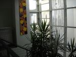 DSCN0527.JPG
