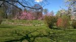 WP_20190406_028.jpg