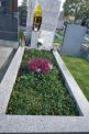 Gräbergang auf dem Meidlinger Friedhof am 09.11.2025